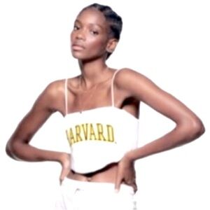 Zara Harvard crop top